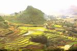 Ta Van village