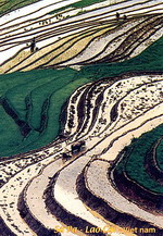 Sapa-Y linh ho-Lao chai San-Lao chai-Ta van - Giang Ta Chai “ Su pan -Sapa
